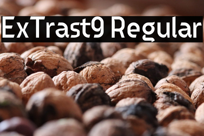 ExTrast9 Regular Example 2