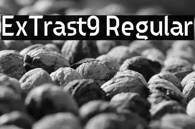 ExTrast9 Regular Font examples