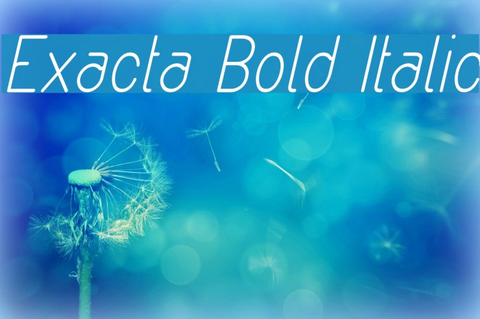 Exacta Bold Italic Font examples