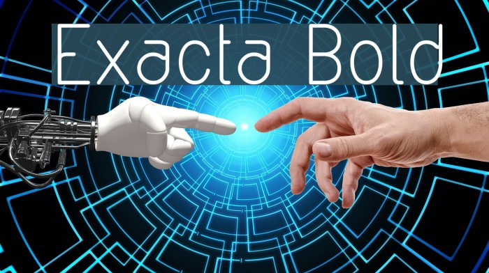 Exacta Bold Font examples
