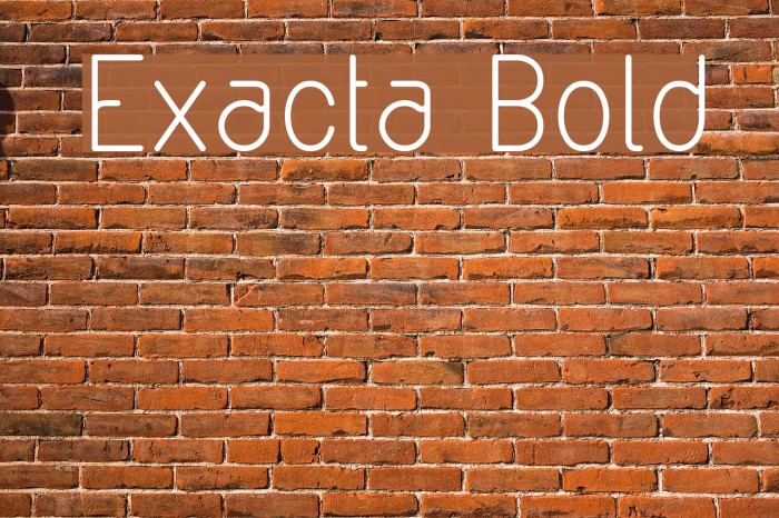 Exacta Bold Font examples