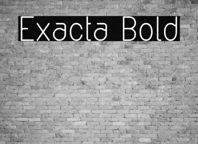Exacta Bold Font examples