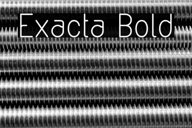 Exacta Bold Font examples