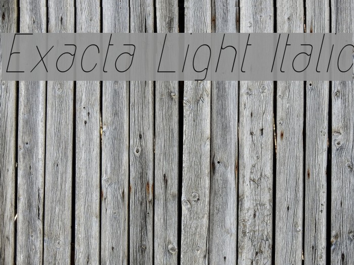 Exacta Light Italic Example 3