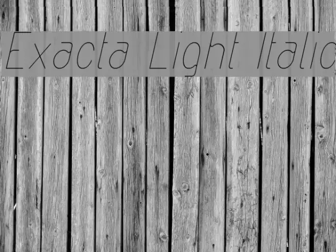 Exacta Light Italic Font examples
