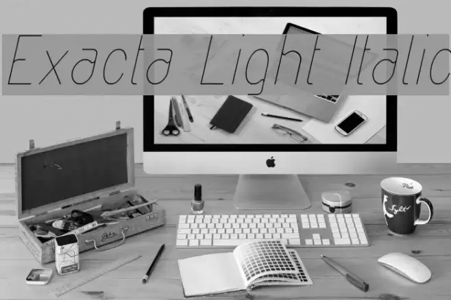 Exacta Light Italic Font examples