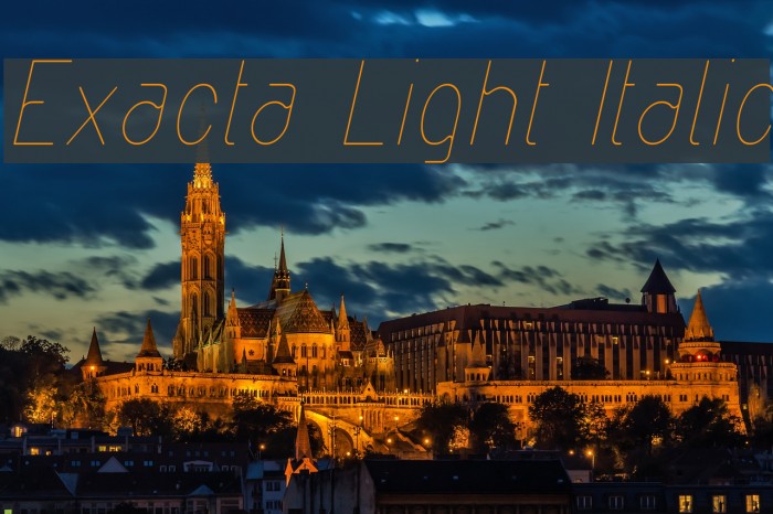 Exacta Light Italic Example 2