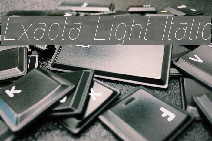 Exacta Light Italic Example 3