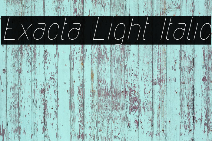 Exacta Light Italic Font examples