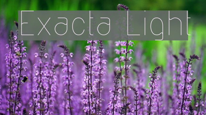 Exacta Light Font examples