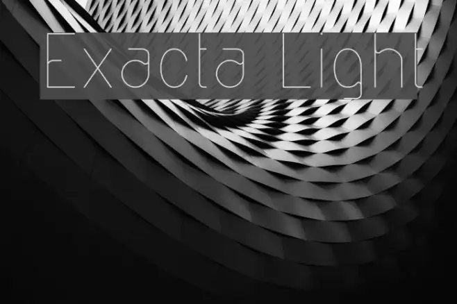 Exacta Light Example 2