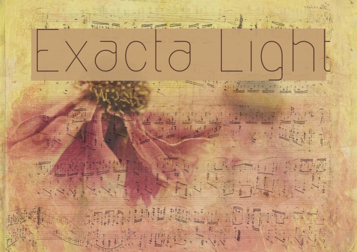 Exacta Light Font examples
