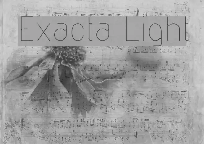 Exacta Light Example 3