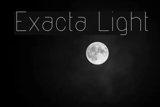 Exacta Light Example 2