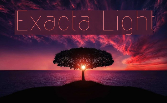 Exacta Light Font examples