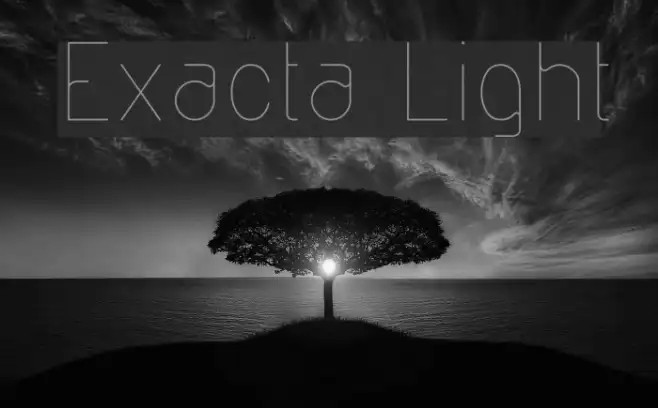 Exacta Light Example 3