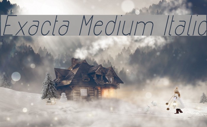Exacta Medium Italic Example 2