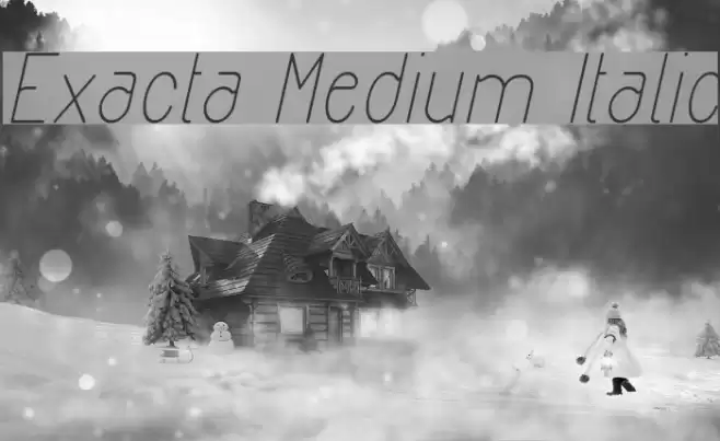 Exacta Medium Italic Font examples