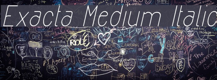Exacta Medium Italic Example 3