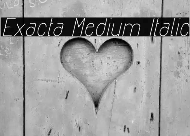 Exacta Medium Italic Font examples