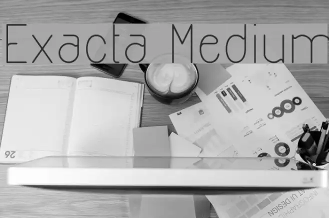Exacta Medium Example 1