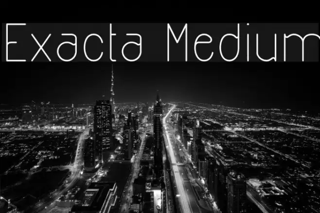Exacta Medium Example 3