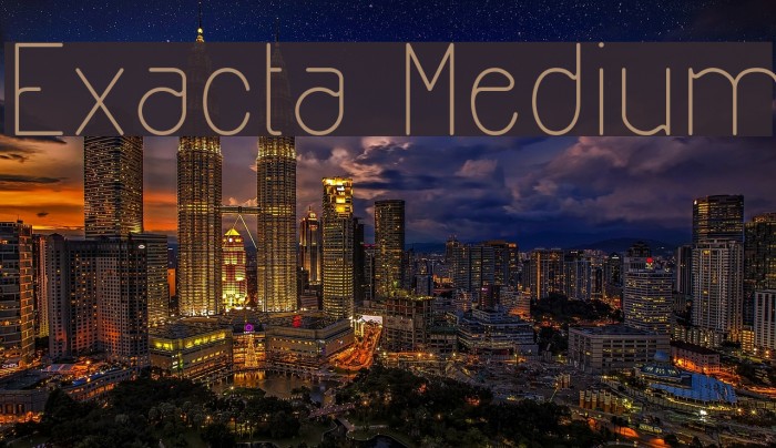Exacta Medium Font examples