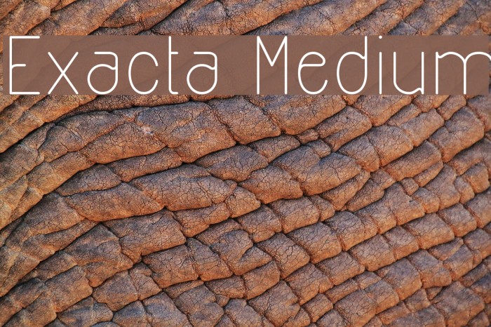 Exacta Medium Font examples