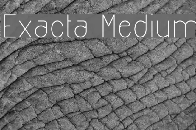 Exacta Medium Example 2