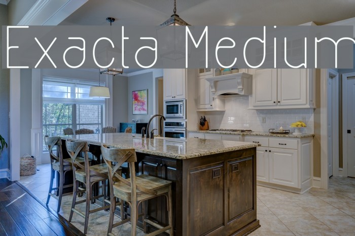 Exacta Medium Font examples