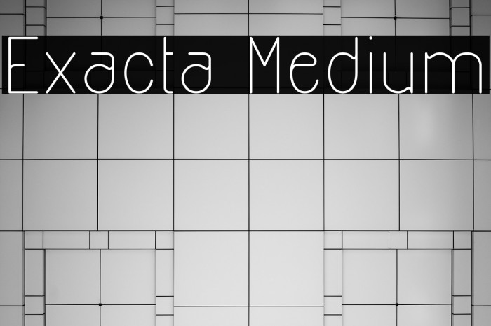 Exacta Medium Example 1