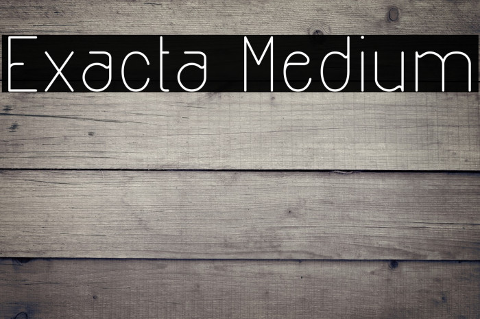 Exacta Medium Example 2