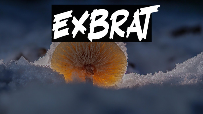 Exbrat Example 1