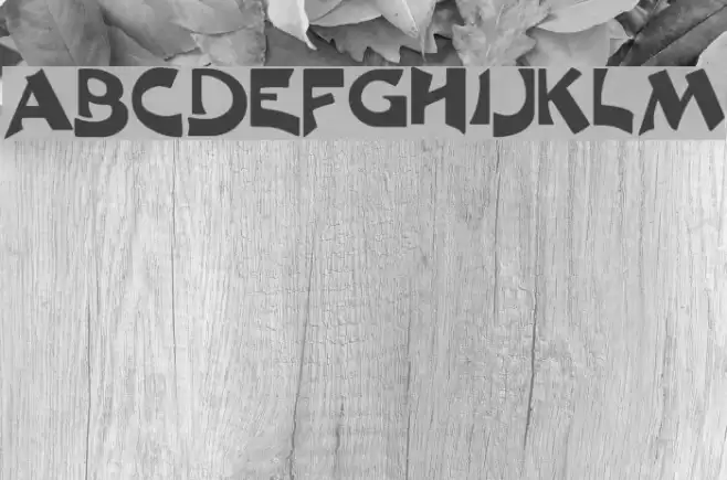 Excalibur Logotype Normal Schriftart examples