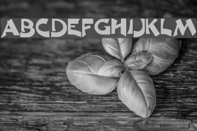 Excalibur Logotype Normal Schriftart examples