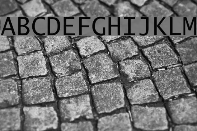 Excalibur Monospace Font examples