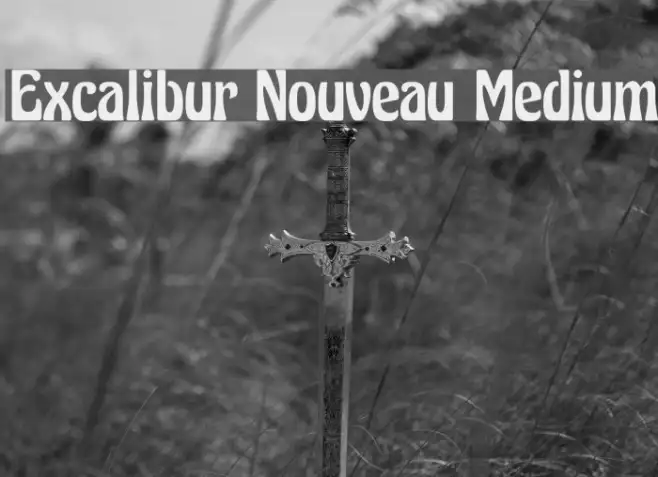 Excalibur Nouveau Medium Example 1