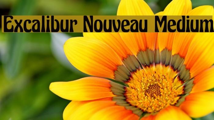 Excalibur Nouveau Medium Font examples