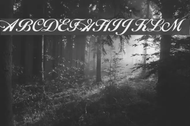 Excalibur Script Schriftart examples