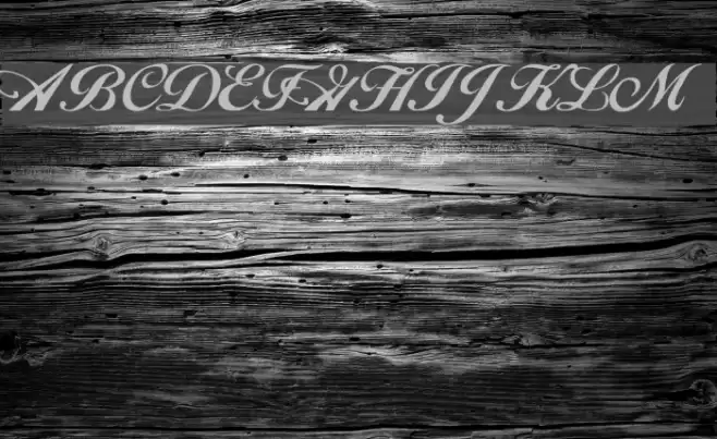 Excalibur Script Schriftart examples