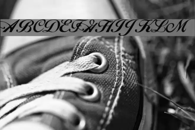 Excalibur Script Schriftart examples