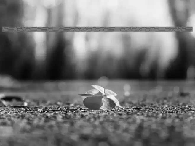 Excelerate Outline خط examples