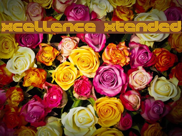 Excellence Extended Font examples