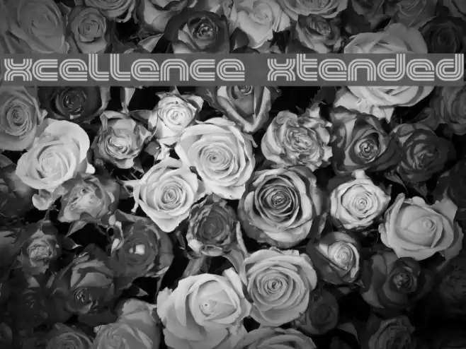 Excellence Extended Fuentes examples