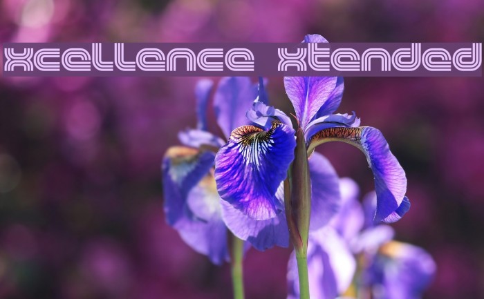 Excellence Extended Font examples