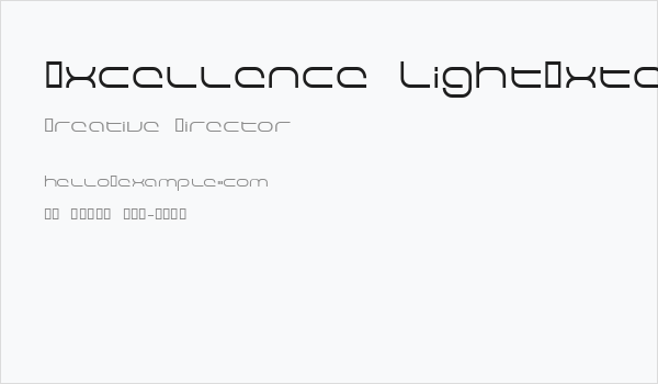 Excellence LightExtended Business Card