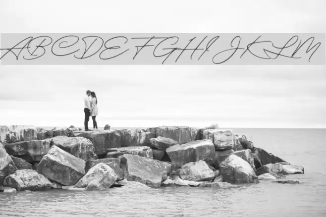 ExcellentSignatureDemo Font examples