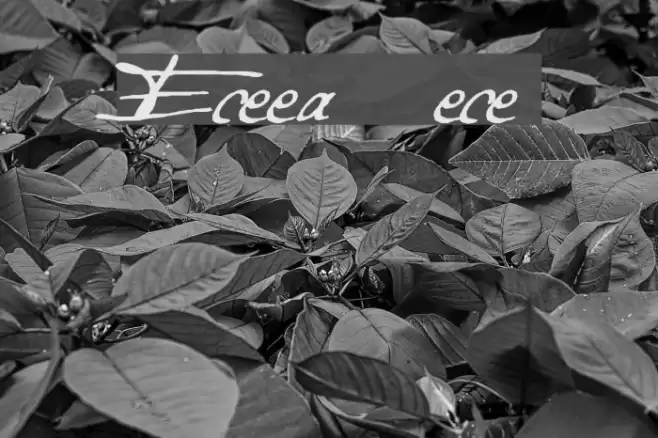 Excellentia in excelsis Fonte examples