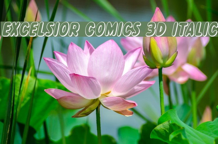 Excelsior Comics 3D Italic Font examples