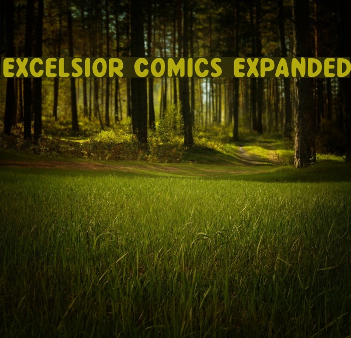Excelsior Comics Expanded Font examples